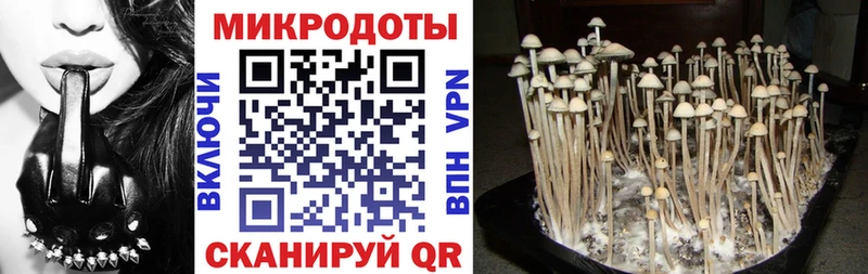 Псилоцибиновые грибы Psilocybine cubensis  Купить  Пенза 